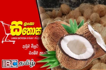 2 இலட்சமாக அதிகரிக்கப்படவுள்ள நாளாந்த தேங்காய் விற்பனை