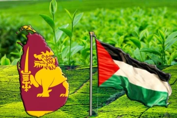 இலங்கையிலிருந்து பலஸ்தீனத்திற்கு அனுப்பப்படவுள்ள தேயிலை