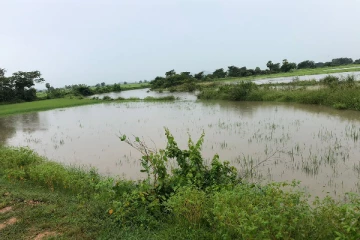 வெள்ளத்தில் அள்ளுண்டு காணாமல் போயுள்ள விவசாயி: தேடுதல் பணி தீவிரம்(Photos)