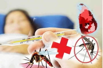 நாட்டை மிரட்டும் 4,000 டெங்கு நோயாளர்கள்: பொதுமக்களை நெருங்கும் ஆபத்து