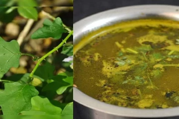 இந்த இலையை இப்படி பயன்படுத்தி பாருங்க! கடுமையான சளி, இருமலை உடனே விரட்டி அடிக்கலாம்