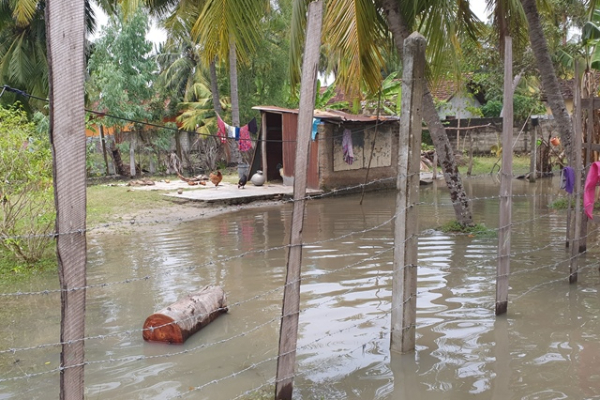 இலங்கையை வதைக்கும் கனமழை ; வெள்ள நீருக்குள் காத்திருக்கும் பெரும் ஆபத்து, அவதானம் மக்களே! | Huge Danger Lurks In Floodwaters Ahead இலங்கையை வதைக்கும் கனமழை ; வெள்ள நீருக்குள் காத்திருக்கும் பெரும் ஆபத்து, அவதானம் மக்களே! | Huge Danger Lurks In Floodwaters Ahead
