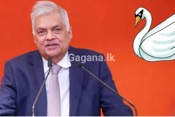 හංසයා ලකුණින් පොදු අපේක්ෂකයා වී එන ජනපති රනිල්..අලුත්ම සන්ධානයක්..