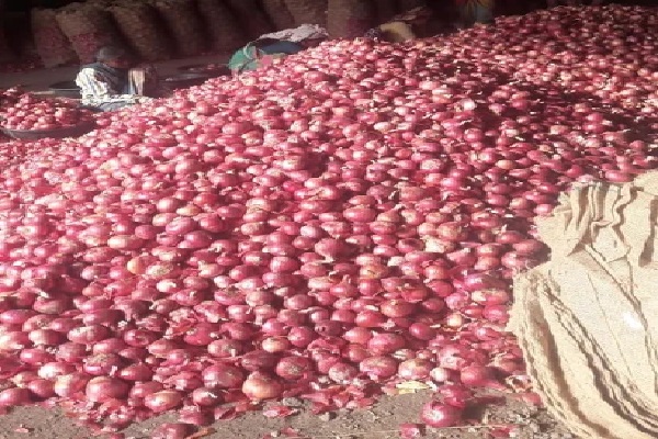 இந்தியா எடுத்த முடிவு -இலங்கையில் ஏற்பட்ட தாக்கம் | Onion Price Hike In Sri Lanka