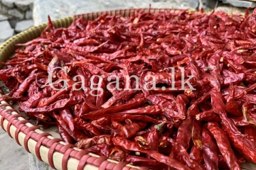 මෙරට 95%ක්ම කන පිළිකාකාරක ආනයනික වියළි මිරිස් ගැන හොයන්නේ නෑ. - SLS නිහඬ පිළිවෙතක.