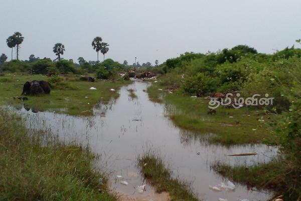 அதிகாரிகளின் அசமந்தப் போக்கு: தொற்றுநோய்கள் பரவக்கூடிய அபாயத்தில் மக்கள் (Photos) | Jaffna Local Authority Peoples