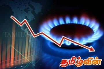 உலக சந்தையில் இயற்கை எரிவாயுவின் விலையில் ஏற்பட்ட மாற்றம்