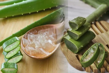 வீட்டிலேயே கற்றாழை ஜெல் செய்யலாம்: இந்த இரண்டு பொருள் இருந்தா போதும்