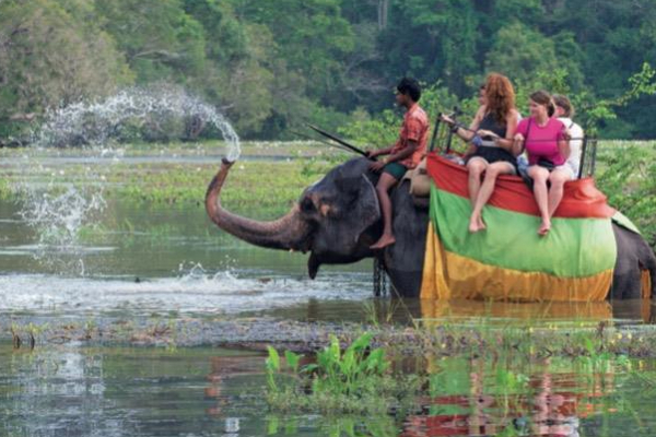 போதைப்பொருள் வர்த்தகத்தில் ஈடுபடும் சுற்றுலாப் பயணிகள்; அமைச்சர் வெளியிட்ட பகீர் தகவல்! | Tourists Involved In The Drug Trade Minister