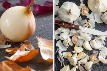 வெங்காயம், பூண்டு தோலை தூக்கி எறிஞ்சிடாதீங்க!  எக்கச்சக்க நன்மைகள் ஒளிந்துள்ளதாம்!