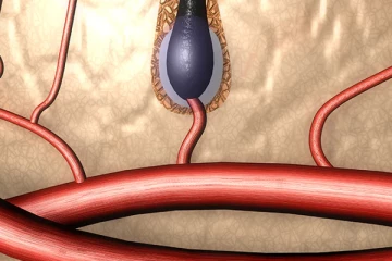 இரத்த ஓட்டத்தை மின்னல் வேகத்தில் அதிகரிக்க இதை அதிகம் சாப்பிடுங்க!