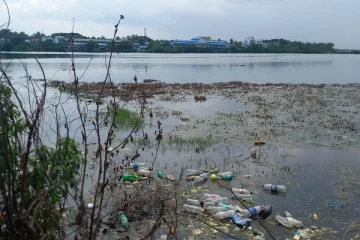 மட்டக்களப்பு வாவியின் அவல நிலை!