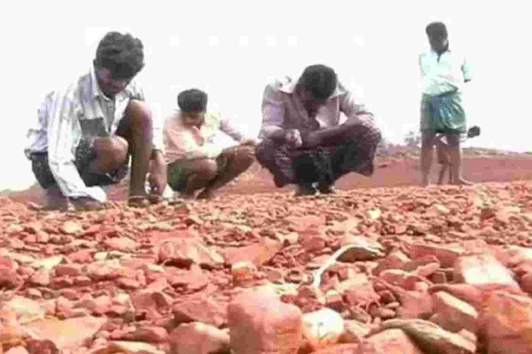 farmer-found-diamond-in-farming-land farmer-found-diamond-in-farming-land