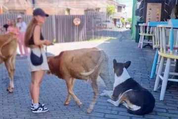 காலியில் சுற்றுலாப் பயணிகளுக்கு ஏற்பட்டுள்ள அசௌகரியம்