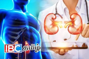 மருத்துவ உலகில் புதிய புரட்சி - உயிர் காக்கும் செயற்கை சிறுநீரகம்