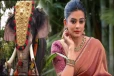 யானை வாங்கி கொடுத்த நடிகை பிரியாமணி... என்ன காரணம் தெரியுமா?