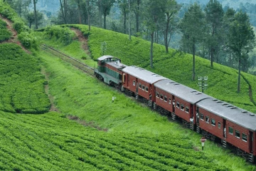 நாடு முழுவதும் ரயில் சேவைகள் பாதிப்பு