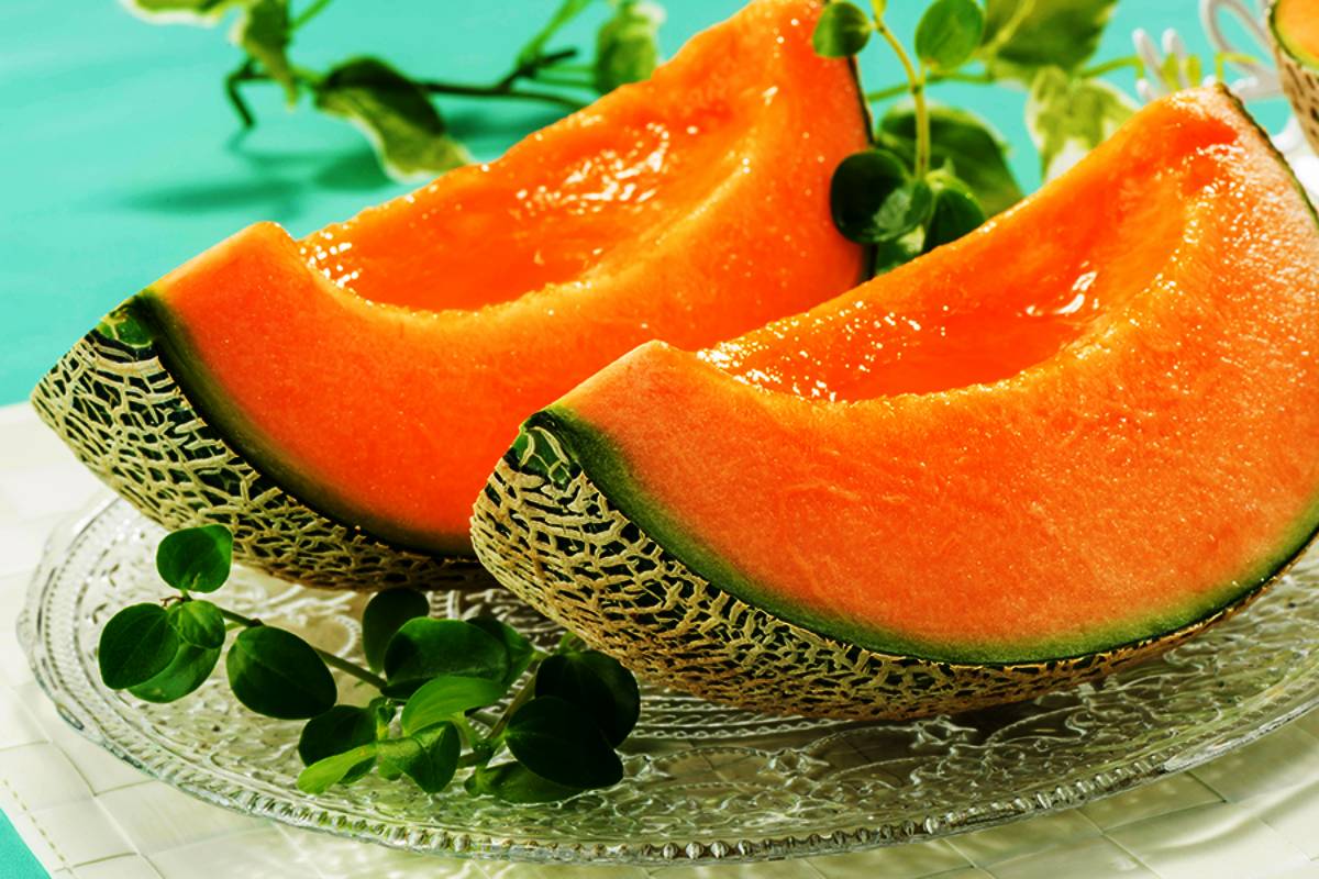 22 லட்ச ரூபாய்க்கு விற்கப்படும் உலகின் அதிசய முலாம்பழம்! | World S Most Expensive Melon 22 லட்ச ரூபாய்க்கு விற்கப்படும் உலகின் அதிசய முலாம்பழம்! | World S Most Expensive Melon