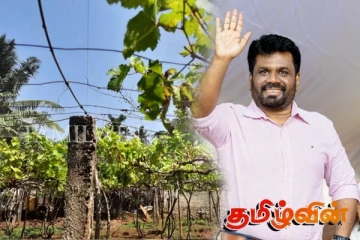 வடக்கு, கிழக்கிலுள்ள காணிப் பிரச்சனை தொடர்பில் ஜனாதிபதி அநுர கவனம்