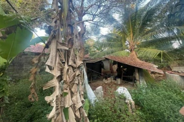 யாழில் பெரும் பரபரப்பு: தூக்கில் தொங்கிய நிலையில் சடலமாக மீட்கப்பட்ட நபர்