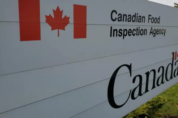 கனடாவில் பிஸ்தா சாப்பிட்ட 105 பேருக்கு உடல் நலம் பாதிப்பு | 105 Sickened In Canada Ate Pistachios Salmonella