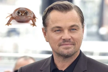 லியோனார்டோ டிகாப்ரியோ பெயரில் புதிய தவளை இனம்! ஈக்வடாரில் கண்டுபிடிப்பு