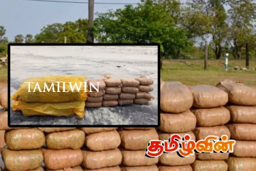 தலைமன்னார் கடற்பரப்பில் மிதந்த பெருந்தொகை கேரள கஞ்சா மீட்பு