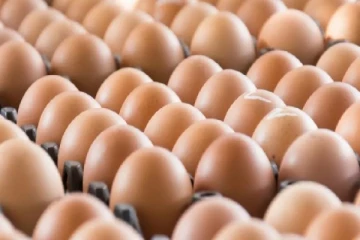 இறக்குமதி செய்யப்படும் முட்டைக்கான விலை அறிவிப்பு