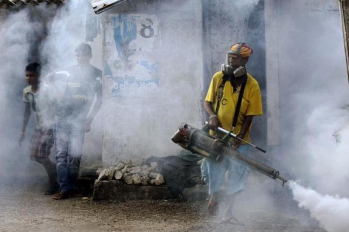 72000 ஆக உயர்ந்த டெங்கு பாதிப்புகள் : இதுவரை 49 பேர் உயிரிழப்பு | Dengue Cases Rise To 72430 This Year 72000 ஆக உயர்ந்த டெங்கு பாதிப்புகள் : இதுவரை 49 பேர் உயிரிழப்பு | Dengue Cases Rise To 72430 This Year