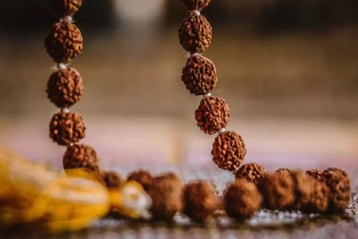 எந்த ராசியினர் ருத்ராட்சம் அணியலாம்? அணியக்கூடாது? | What Type Of Rudraksha Can Zodiac Wear To Get Luck