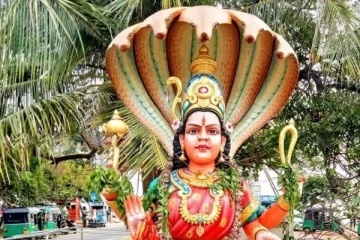 யாழில் நாகபூசணி அம்மன் சொரூபத்தை அகற்றுவதற்கு பொலிஸார் பிரயத்தனம்!