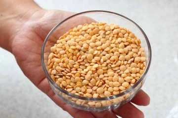 நாட்டில் பருப்பின் விலை மீண்டும் அதிகரிப்பா..?