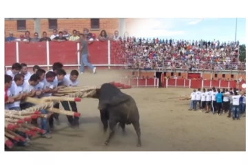 எப்படியெல்லாம் யோசிக்கிறாங்க பாருங்க: வைரலாகும் புதுவித விளையாட்டு