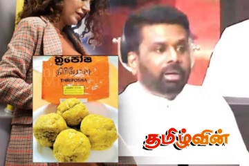 கர்ப்பிணி பெண்களுக்கு விசேட நிதி