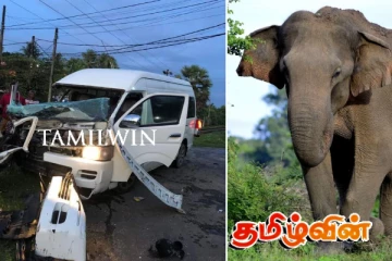 திருகோணமலையில் இடம்பெற்ற இருவேறு சம்பவங்கள்: இரு நபர்களுக்கு ஏற்பட்ட பாதிப்பு