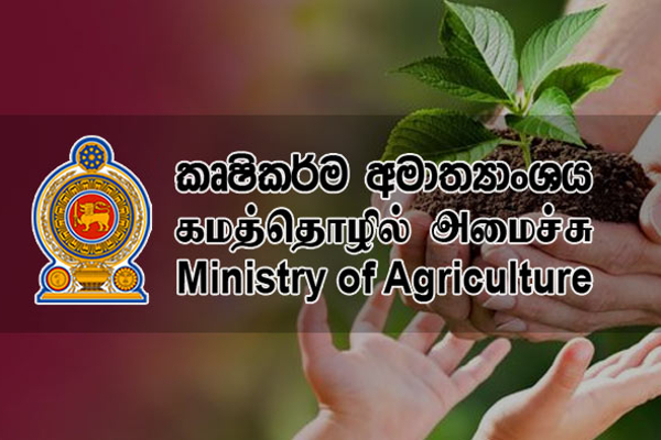 வடக்கு விவசாயிகளுக்கு நன்கொடை திட்டம்: உதவிக்கரம் நீட்டிய ஜப்பான் | Urea Fertilizer Ship To Colombo Por