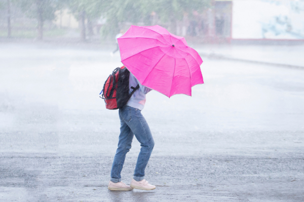 முக்கிய நீர்தேக்கங்களின் வான்கதவுகள் திறப்பு | Opening Of Sluice Gates Of Major Reservoirs முக்கிய நீர்தேக்கங்களின் வான்கதவுகள் திறப்பு | Opening Of Sluice Gates Of Major Reservoirs