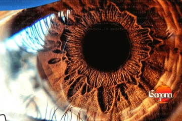 ඇඟේ මස් නැටීම මඟින් ඉඟි කරන රහස් ටික මෙන්න..