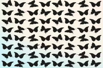 Optical illusion: கண்பார்வையை சோதிக்கலாம் இந்த படத்தில் பட்டாம்பூச்சி எங்கே?