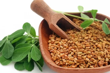 தினமும் 10 கிராம் வெந்தயம் சாப்பிட்டால் இத்தனை நன்மைகளை தருமா? எப்படி எ்டுத்து கொள்ளலாம்?