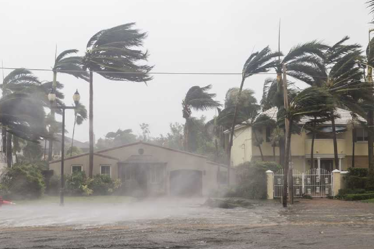பலத்த காற்று குறித்து விடுக்கப்பட்ட எச்சரிக்கை | Advisory Issued For Strong Winds பலத்த காற்று குறித்து விடுக்கப்பட்ட எச்சரிக்கை | Advisory Issued For Strong Winds