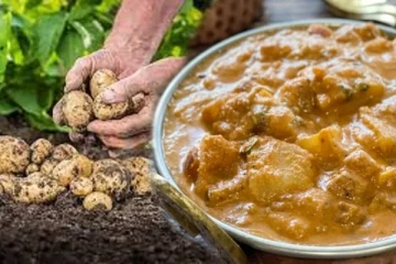 இரண்டு உருளைக்கிழங்கு இருந்தா போதும்; சுவையான குருமா ரெடி