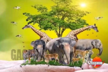 ලෝක සත්ත්ව දිනය අදයි