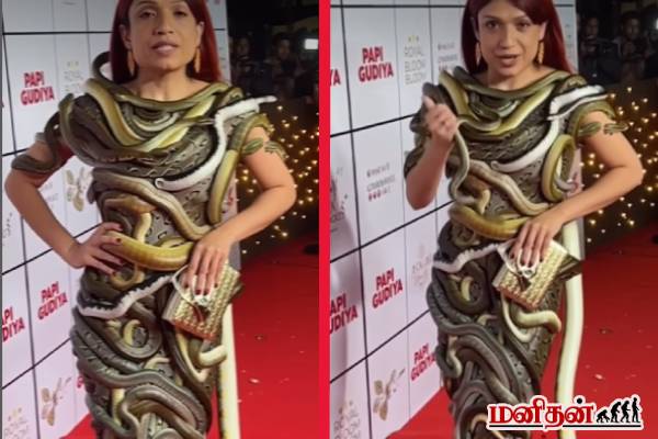 கொடிய விஷம் கொண்ட பாம்புகளையே ஆடையாக்கிய பெண்! மெய்சிலிர்க்கும் காணொளி | A Women Wearing Snake Dress Video Viral