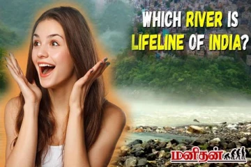 இந்தியாவின் உயிர்நாடி என்று அழைக்கப்படும் நதி எதுன்னு தெரியுமா? என்ன காரணம்?