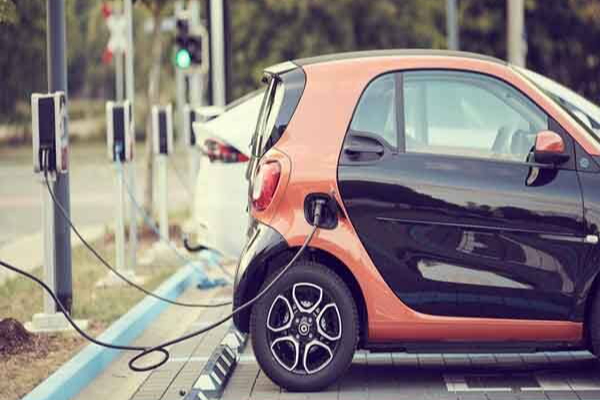மின்சார வாகனங்களை விடுவிக்கக் கோரி மனு தாக்கல் | Petition For Release Of 1000 Byd Electric Vehicles