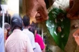 புகையிலையுடன் வெற்றிலை தானமாக வழங்கியவருக்கு எதிராக சட்ட நடவடிக்கை