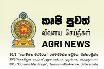 වී වගාව සම්බන්ධයෙන් නිවේදනයක්