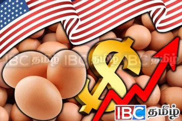 அமெரிக்காவில் உச்சம் தொட்ட முட்டை விலை