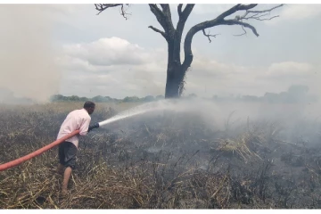 வவுனியா பல்கலைக்கழக வளாகத்திற்கருகில் தீ பரவல்